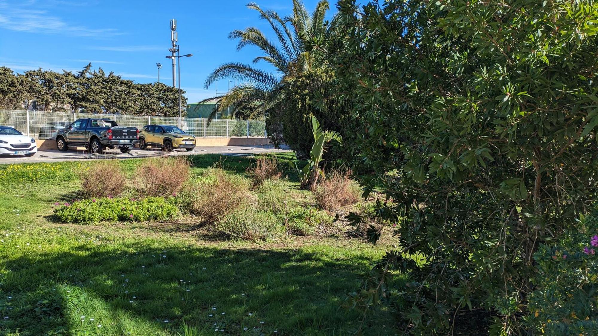 Studio Avec Coin Nuit, 100 M De La Mer Le Lavandou Zewnętrze zdjęcie